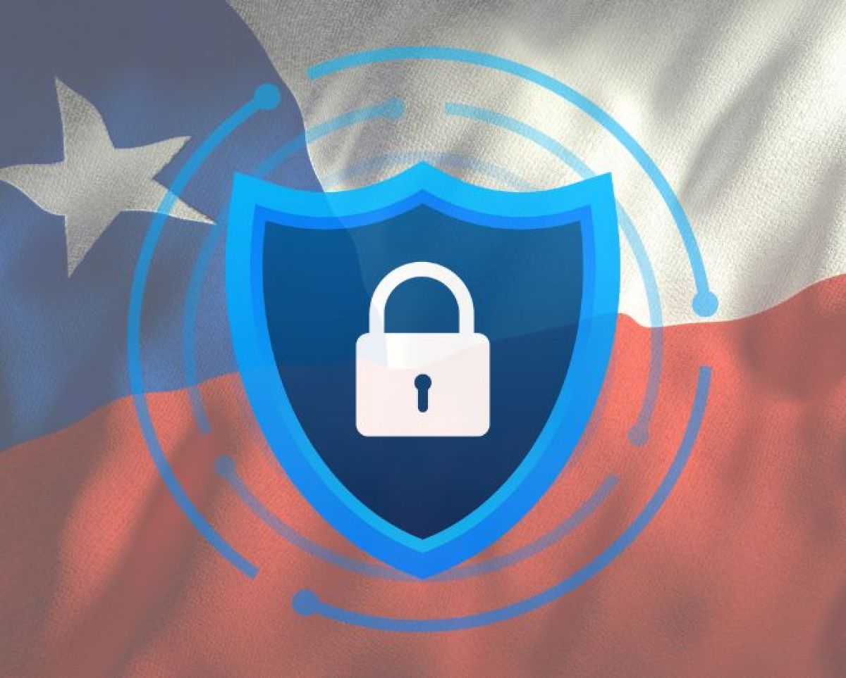 Tratamiento y Protección de Datos Personales Según la Nueva Ley 21.719